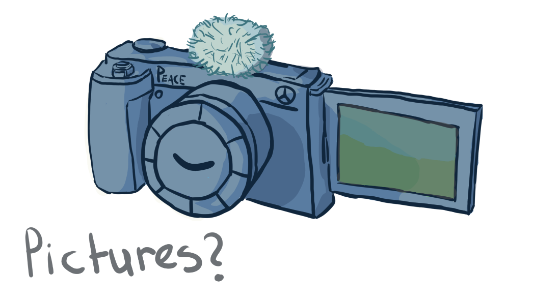 Pictures